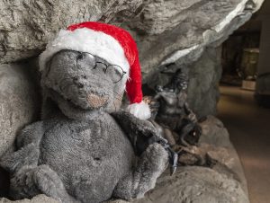 Mit Archie in die Eiszeit @ Museum für Ur- und Frühgeschichte Thüringens