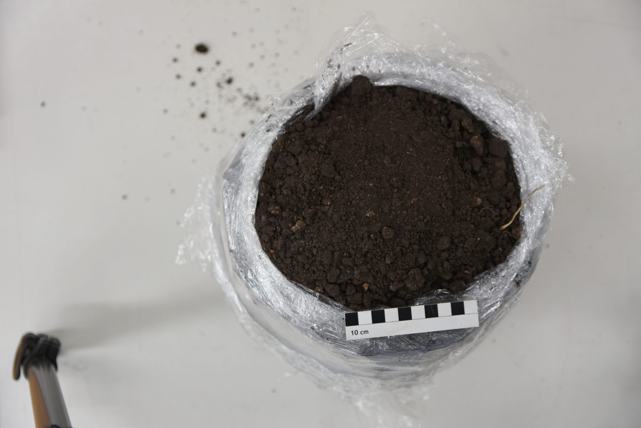 Bodenfund in Erfe eingebettet und mit Plastikfolie umwickelt, vorne Maßstab