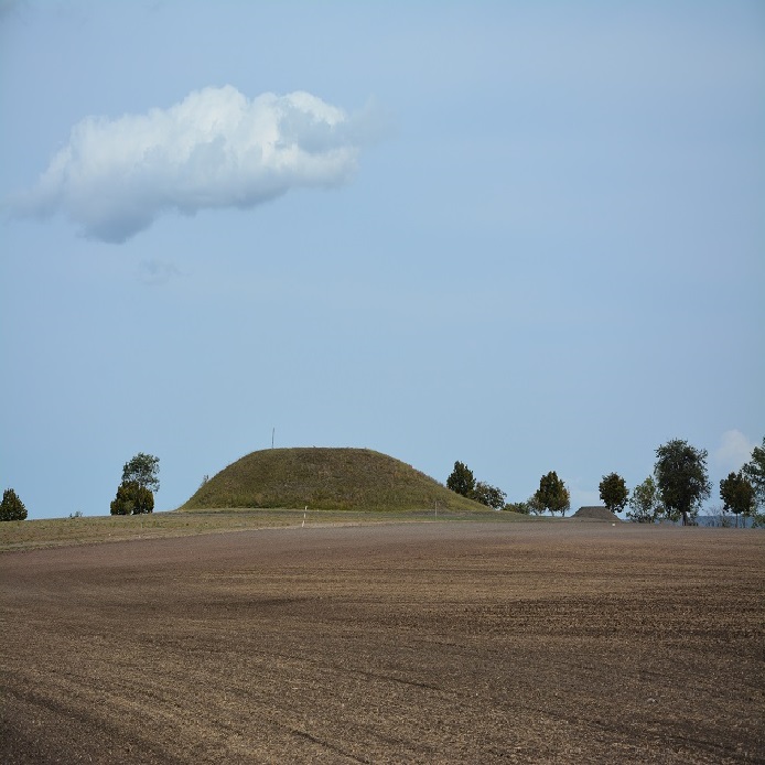 Acker, in dessen Hintergrund sich ein grüner Hügel erhebt, der Leubinger GrabFürstengrabhügel