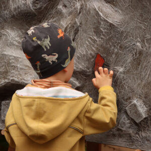 Farben der Steinzeit ‒ Ein Workshop zur Kunst der Jäger und Sammler @ Museum für Ur- und Frühgeschichte Thüringens